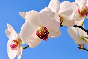 世界保龄球青年联赛训练营导师阵容公布，世界保龄球冠军是谁