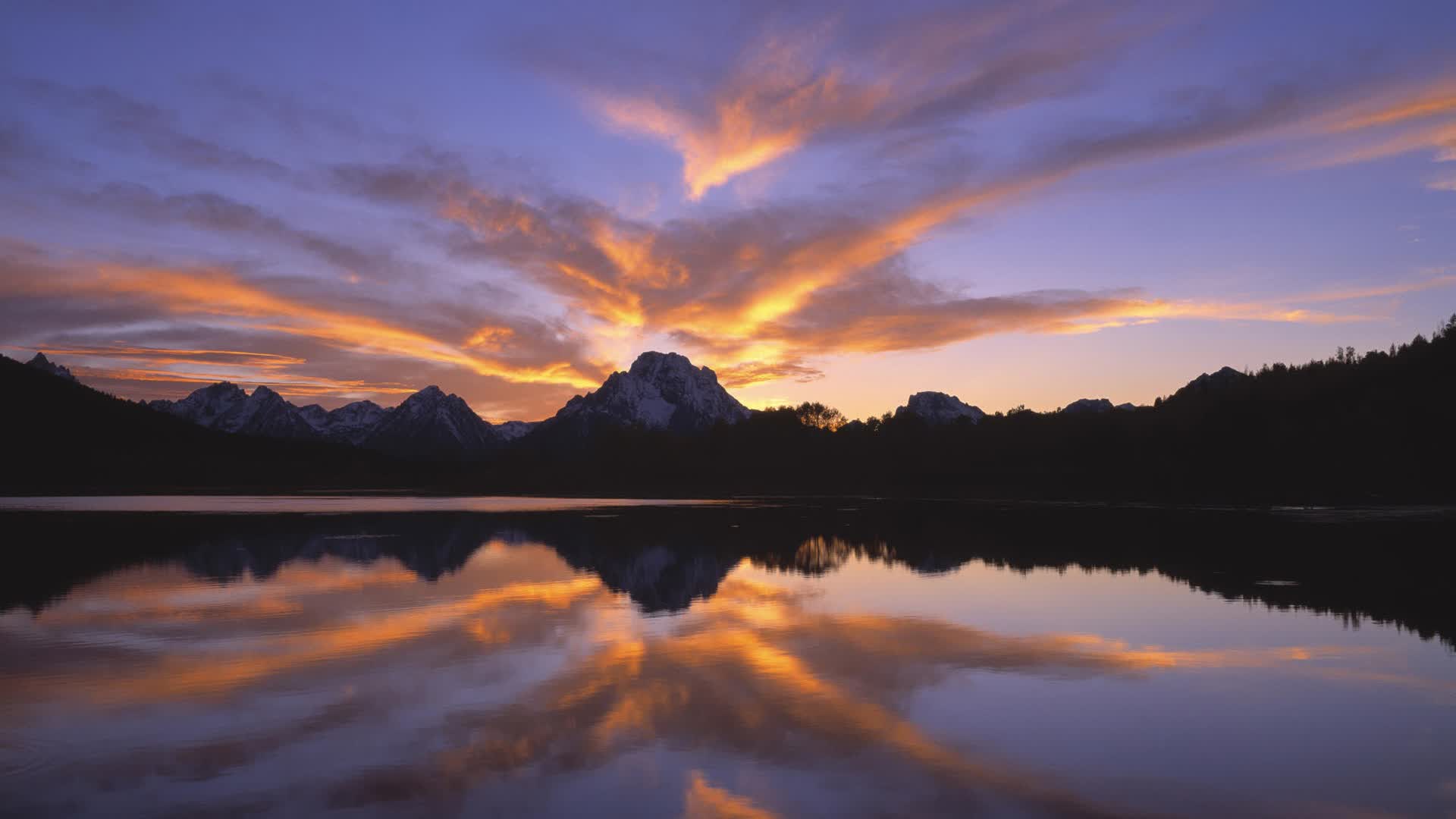 世界短道速滑教练交流成果影像资料上线，世界短道速滑视频